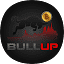 Logo Bullup