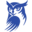 Logo Cryptostrix
